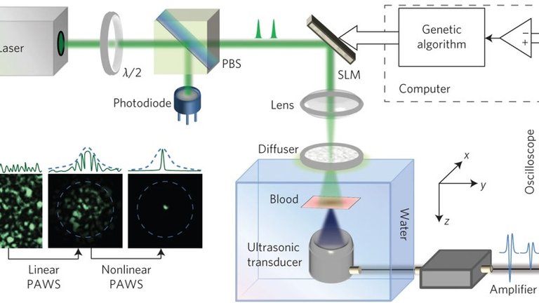 WFS_fig3