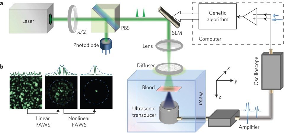 WFS_fig3
