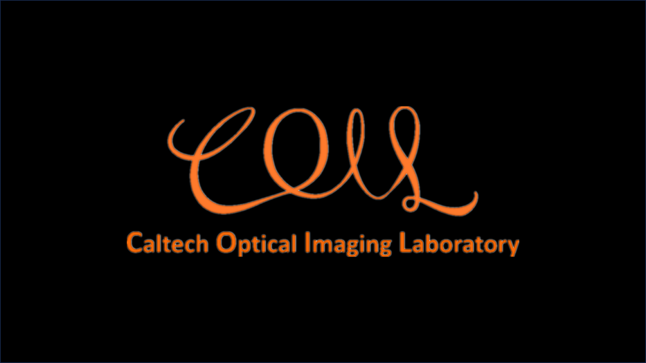 lab_logo_Black_Background