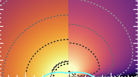 Scalar field dynamics