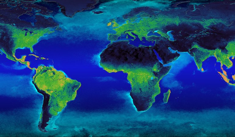 Global chorophyll activity from solar-induced fluorescence