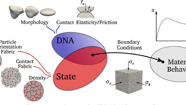We use the concept of DNA to obtain granular behavior using computer models called LSDEM
