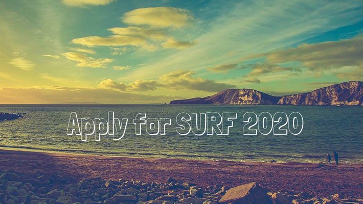 surf ad