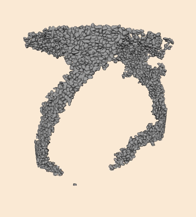 inverse LS-DEM representation of ant tunnels