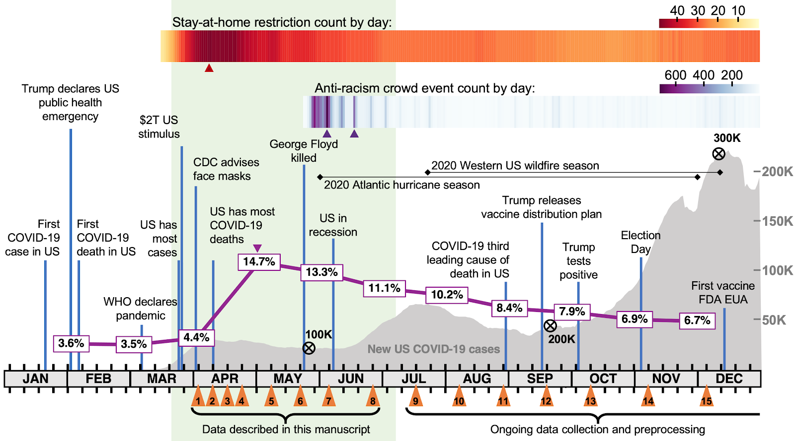 Timeline