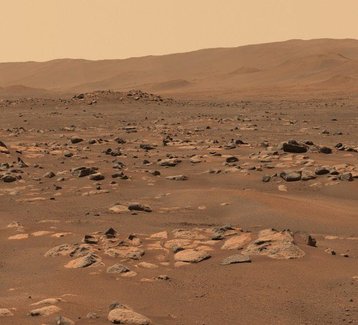 Mars meteorite