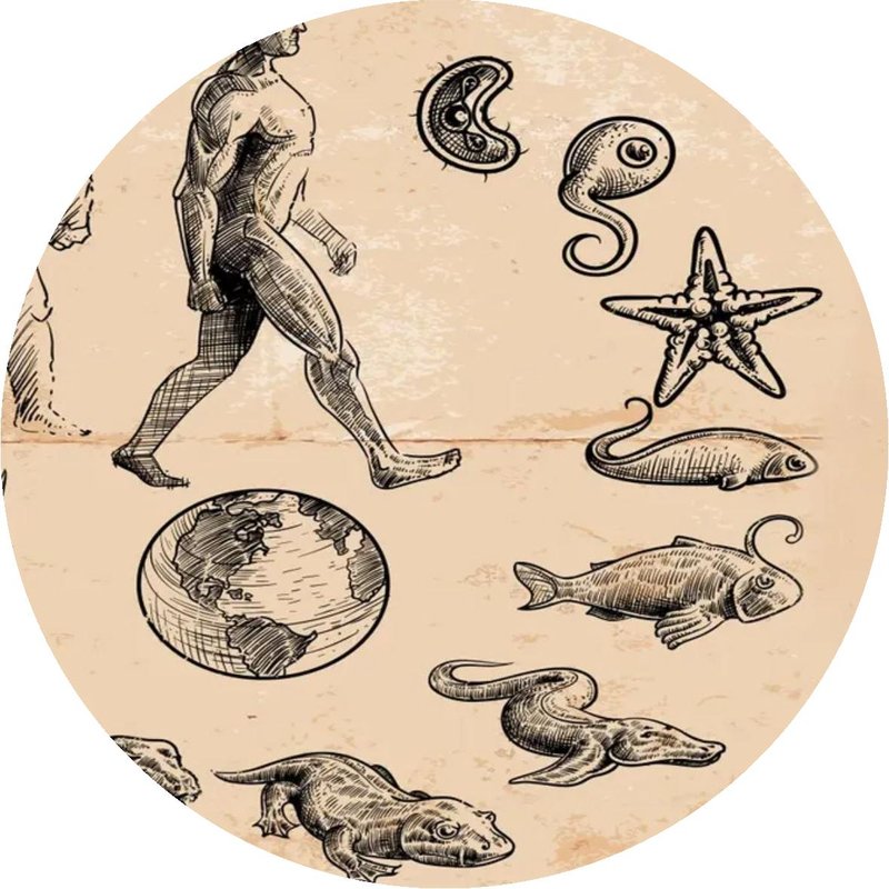 Evolution