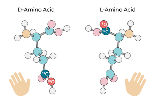 right and left handed amino acids
