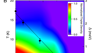 SCBO phase diagram