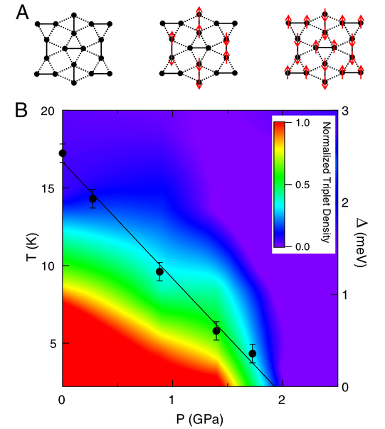 SCBO phase diagram