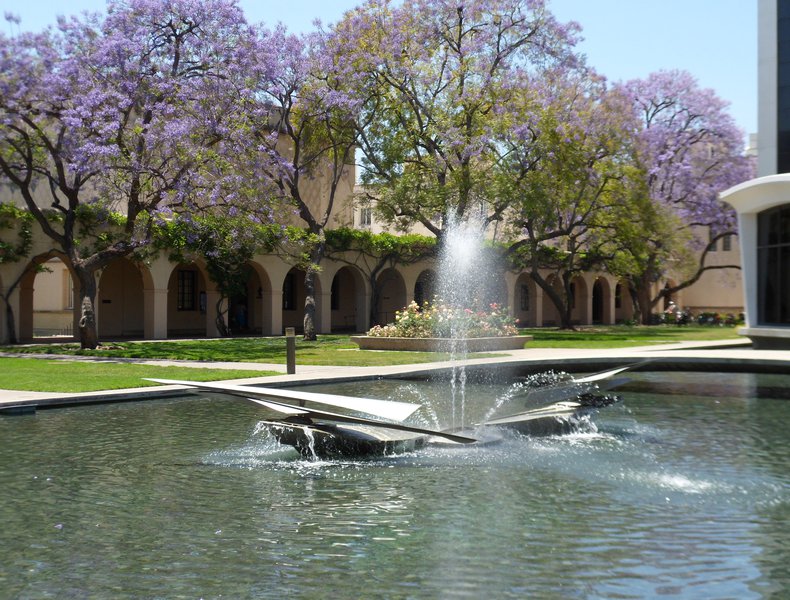 Water Forms