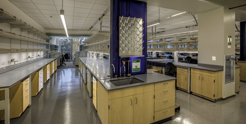 CNRB Lab Area