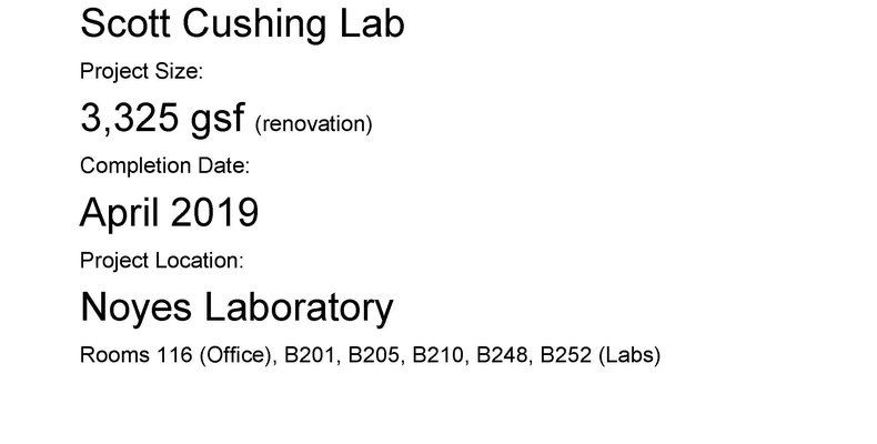 Cushing Lab Outline