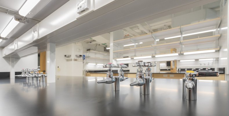 Gao Lab IMG0294