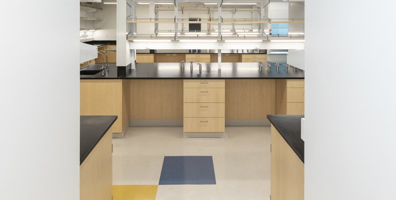 Gao Lab IMG0297