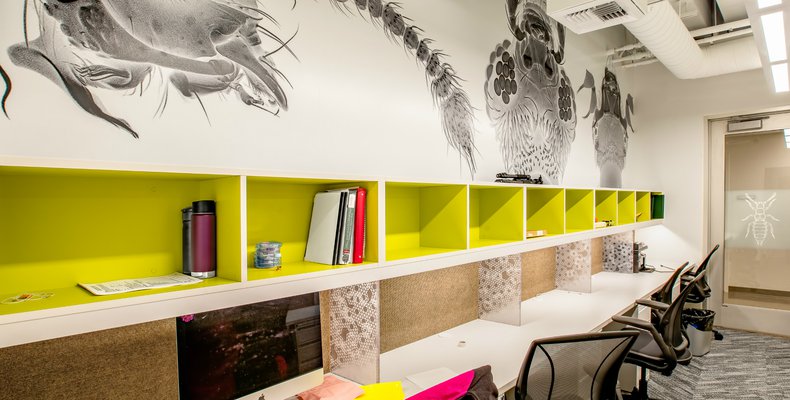 BBB 2nd floor, Prof. Parker lab