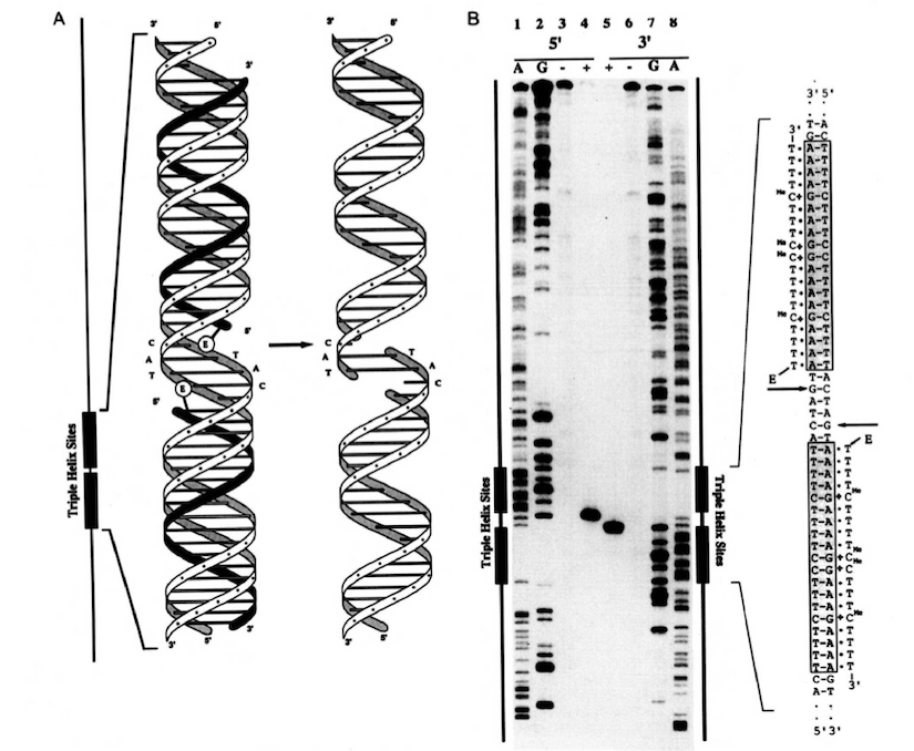research image