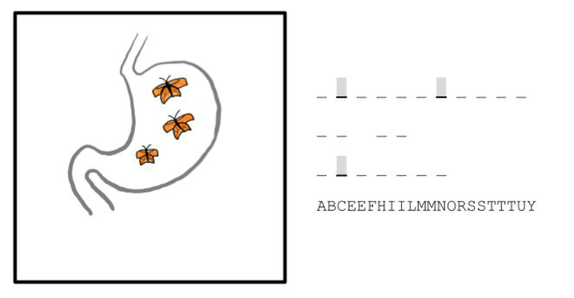Puzzle 1