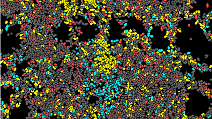 Daniel's par-seq-FISH paper