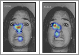 eye tracking face