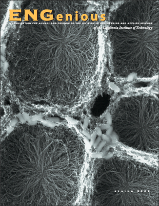 2002pdf-cover