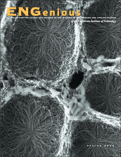 2002pdf-cover