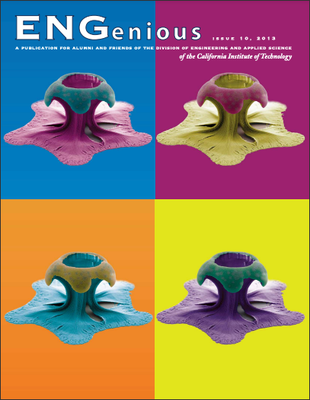 2013pdf-cover