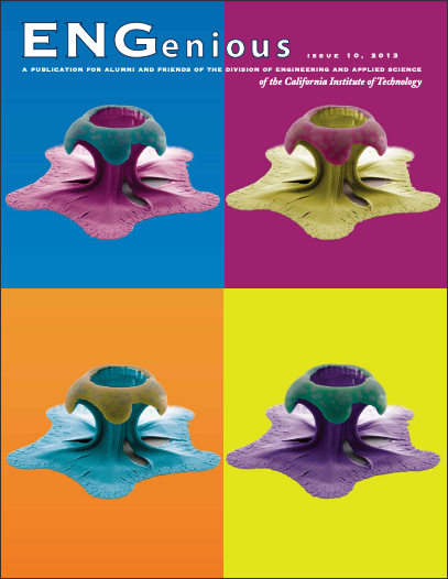 2013pdf-cover