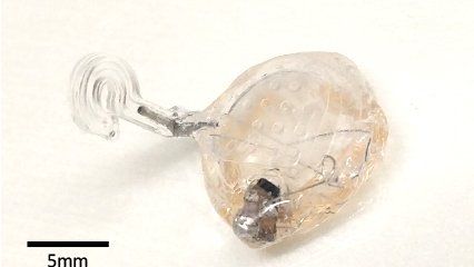 oxygenerator
