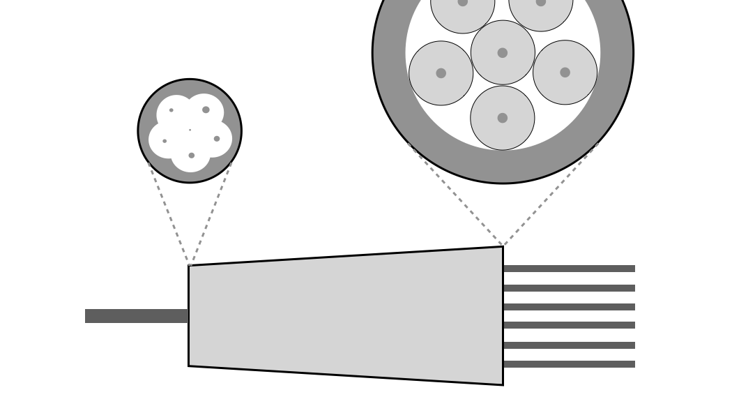 A diagram of a mode-selective photonic lantern used in the PLN