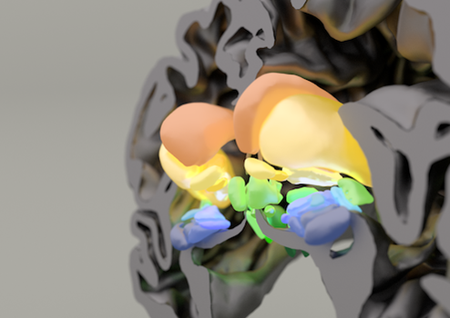 Replace this default