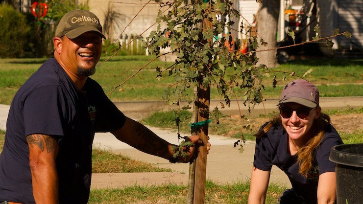 Two individuals are kneeling on the ground. One is holding a newly planted young tree tied to a stake for support. There is loose dirt on the ground.