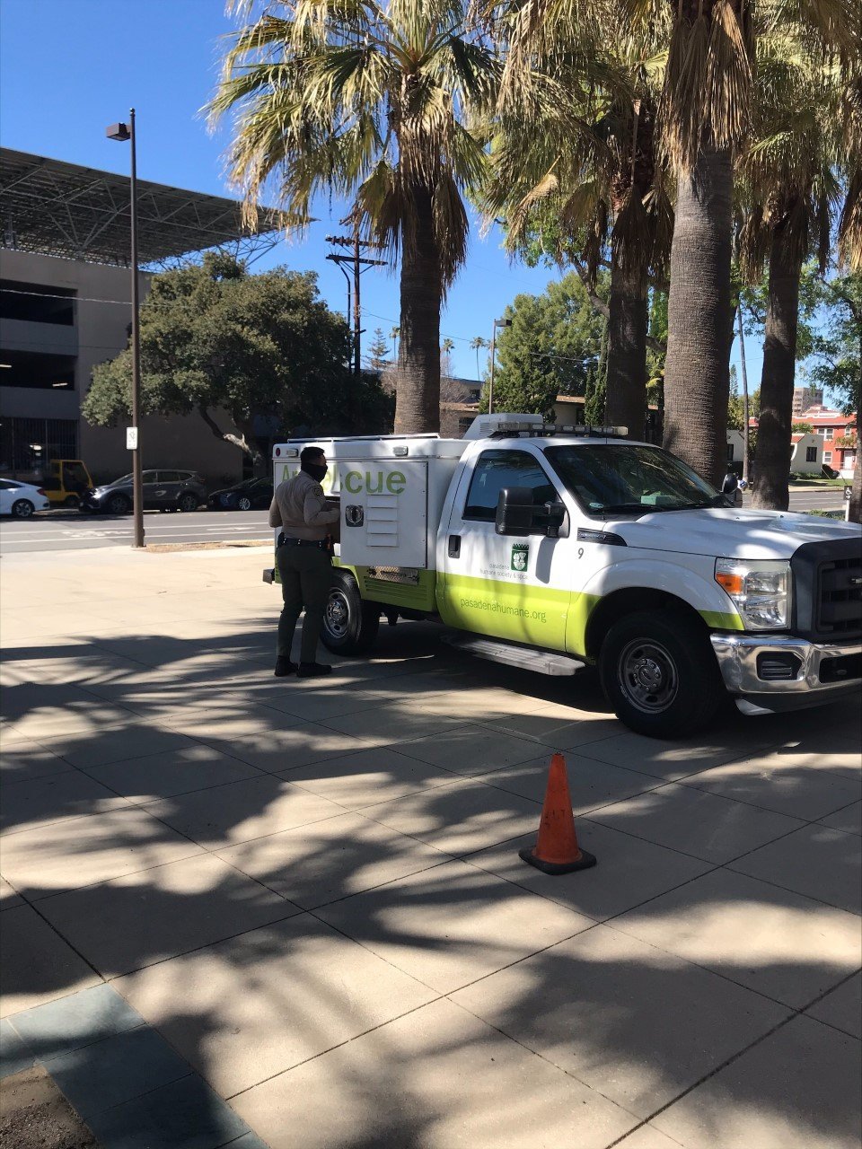image of wildlife rescue truck parked in the shade of several palm trees