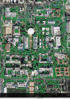 Caltech Campus Map with a green circle for every tree on campus