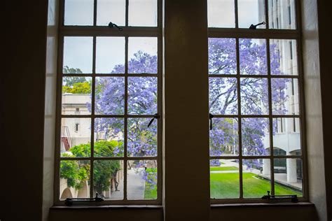 Window