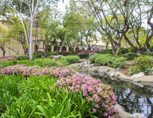 Image of Caltech's Troop Pond