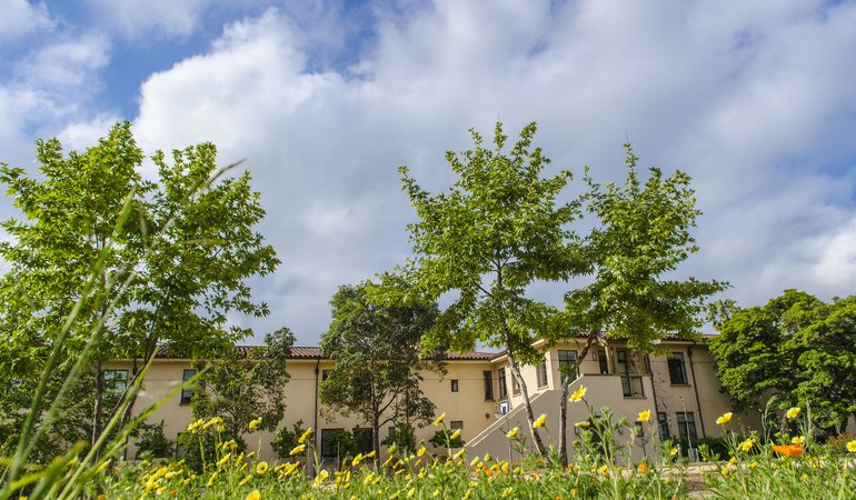 A flowery garden area with a building in the background