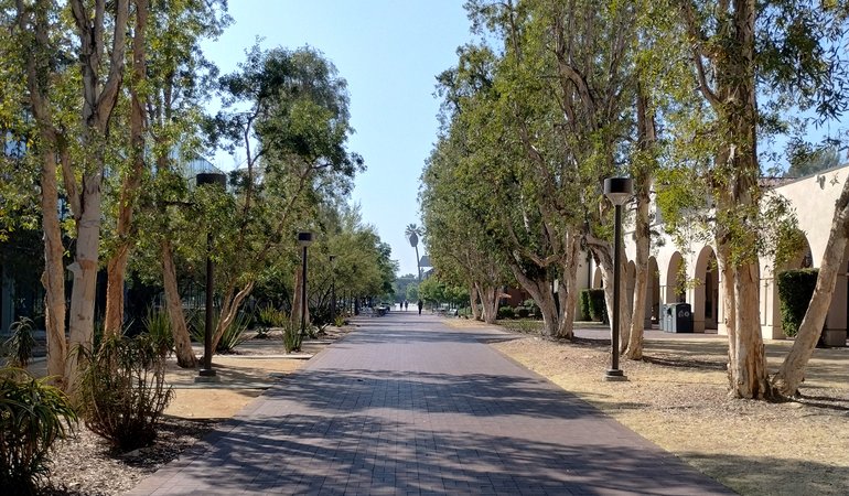 A narrow brick walkway lined by trees