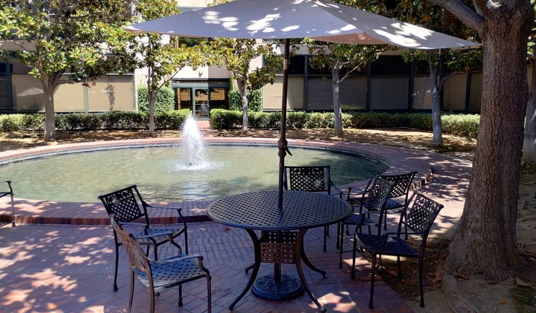 A tree-lined courtyard with a large circular fountain at its center