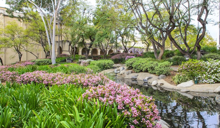 A pond surrounded by landscaped plants