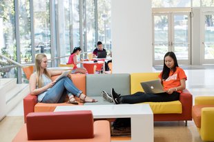 Students lounging