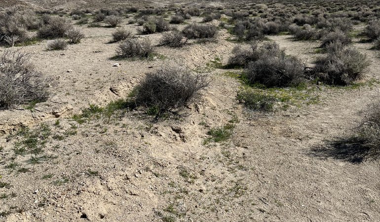 San Andreas Fault & Ridgecrest Ruptures, field trip (March, 2023)