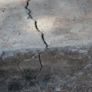 fault