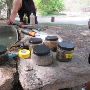 Jars of soil sitting outdoors.