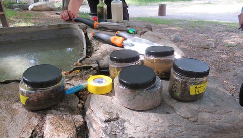 Jars of soil sitting outdoors.