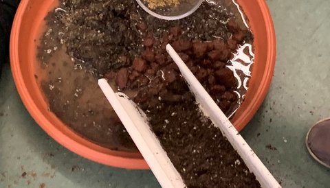 A miniature flume experiment to measure soil and water flow, with a hand pouring a cup of sand.