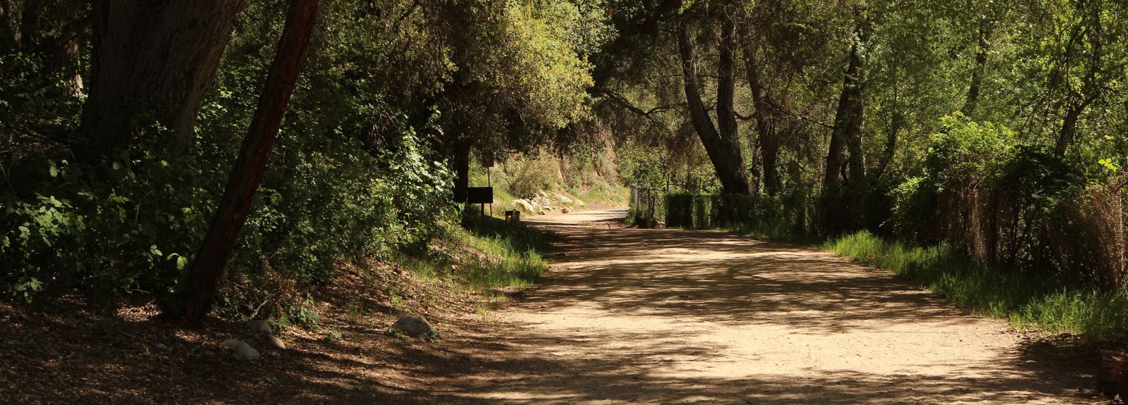 A shady spot in the Arroyo Seco.