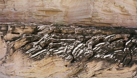 Folds