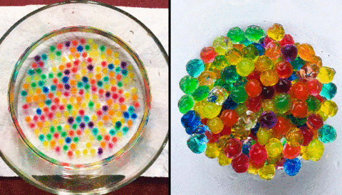 colorscience