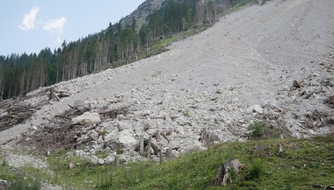 Debris flow